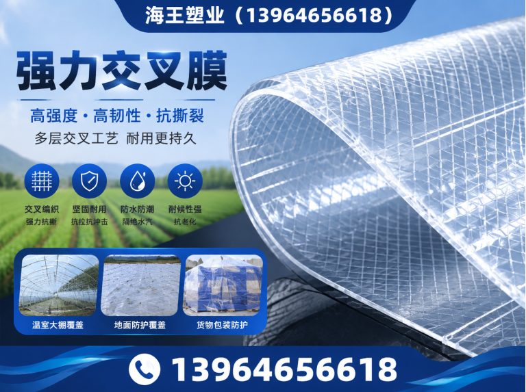 临朐县PET离型膜展示图